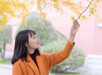 菲律宾驾照是几年一换